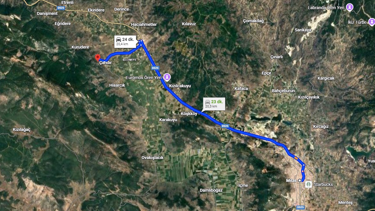 MUĞLA MİLAS ÇANDIR KÖYÜNDE 6.847 M² ZEYTİNLİK SATILIKTIR. - MUĞLA MİLAS fotoğraf 3